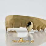 Custom 2pcs Solid & Extended Fangs Grillz: 925 Sterling Silver (Free Mold Kit)