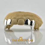 Custom 4pcs Supper Long Fangs Grillz: 925 Sterling Silver (Free Mold Kit)
